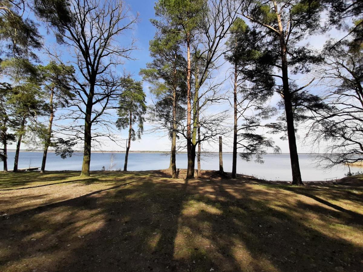 LukaŻubr Nad Zalewem公寓 外观 照片