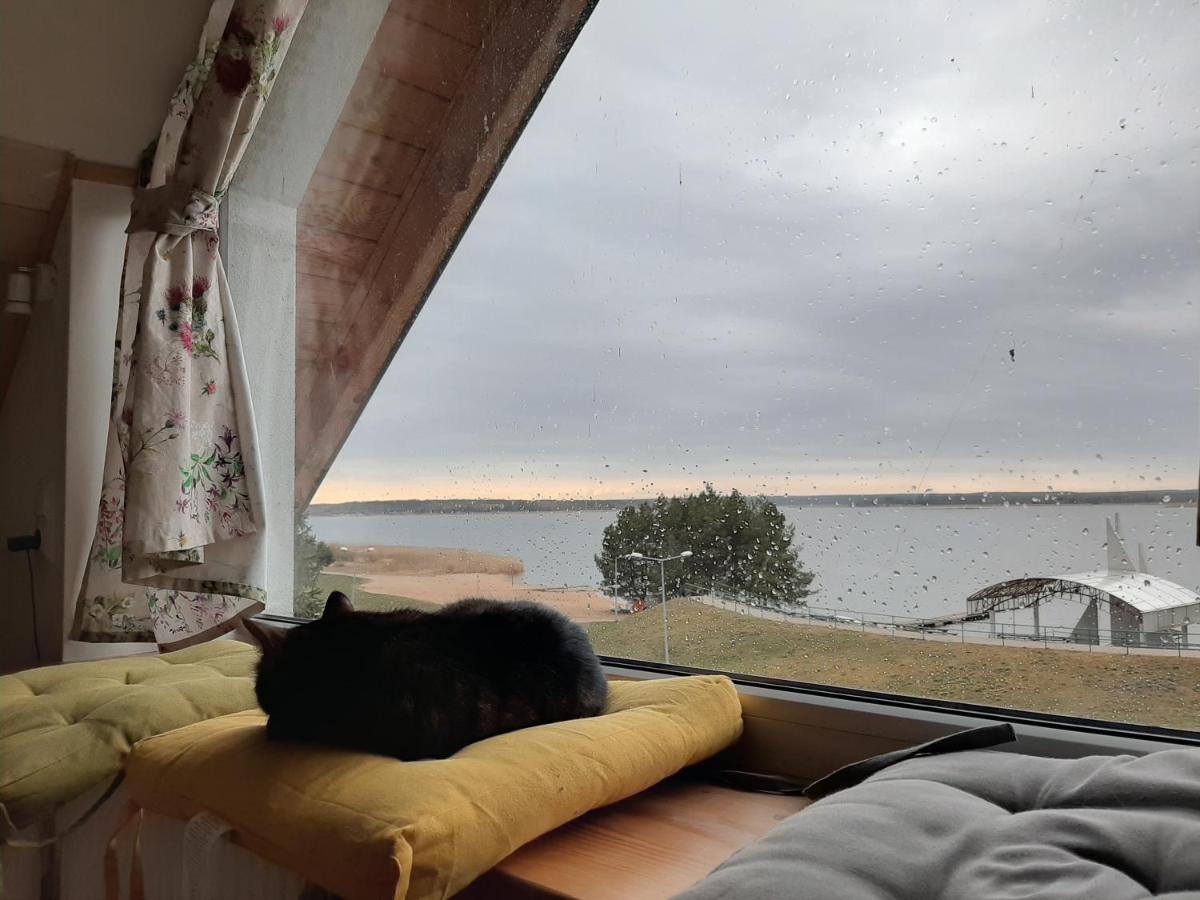 LukaŻubr Nad Zalewem公寓 外观 照片